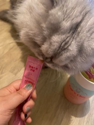 페페로니 잘 먹는 캣츄 - 무항생제 닭고기 12개 + 알래스카 연어 12개 — 5점을 준 리뷰어가 2021년 8월 올린 사용 사진