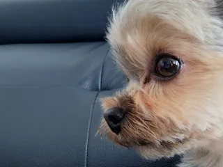 딸기맘님이 올린 리뷰 사진 3