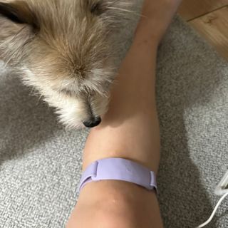 민트펌킨님이 올린 리뷰 사진 1