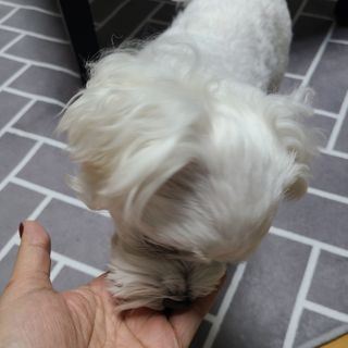 쮸디님이 올린 리뷰 사진 2