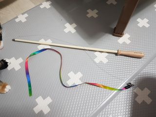 솔탄이love님이 올린 리뷰 사진 3