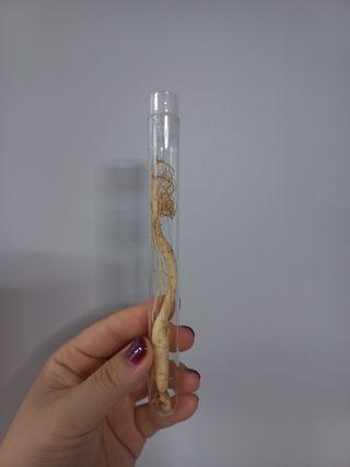 핑쿠님이 올린 리뷰 사진 2