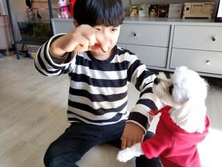 My Pet Care 천연단백질 눈건강에 개좋아 — 5점을 준 리뷰어가 2021년 2월 올린 사용 사진