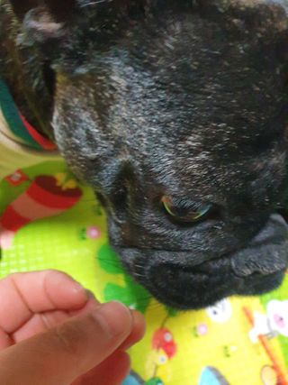 탱탱볼님이 올린 리뷰 사진 2