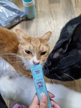 rin님이 올린 리뷰 사진 1