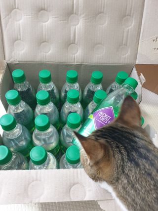 몽베스트 Montbest with Sparkling water Lime20병 — 5점을 준 리뷰어가 2023년 3월 올린 사용 사진