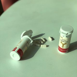 메이준뉴트리 메이준쎌 편안해질 여성유산균 — 5점을 준 리뷰어가 2021년 3월 올린 사용 사진