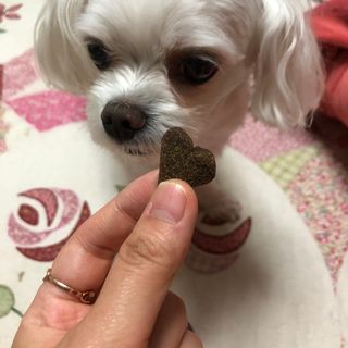 O_zl님이 올린 리뷰 사진 3