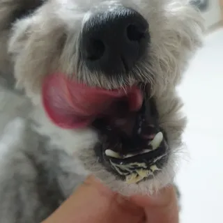 BlossomY님이 올린 리뷰 사진 3