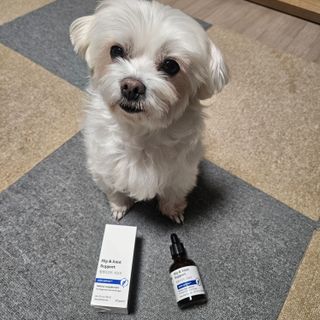 정쵸딩님이 올린 리뷰 사진 3