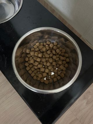 캐닌캐비어 알카라인 홀리스틱 그레이프리 앙뜨레 ALS_4종 오픈스카이, 와일드오션, 프리스피릿, 스페셜니즈 — 5점을 준 리뷰어가 2023년 5월 올린 사용 사진