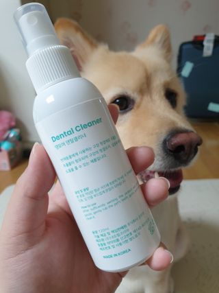 [댕모어 클리너 3종] 아이클리너 / 이어클리너 / 덴탈클리너 3종 세트 (120ml) — 5점을 준 리뷰어가 2023년 9월 올린 사용 사진