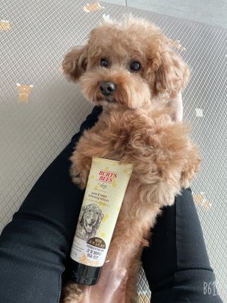 harumom님이 올린 리뷰 사진 2