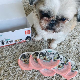 예니님이 올린 리뷰 사진 2