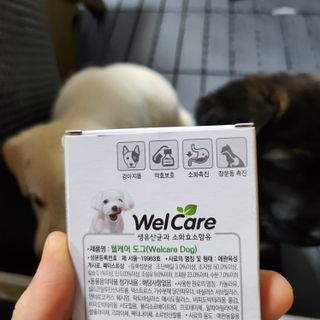 LOVE님이 올린 리뷰 사진 2