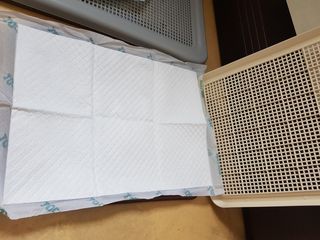 아베크 펫 와이드 프리미엄 중형 애견 강아지 배변 패드 54매 1팩 45g — 5점을 준 리뷰어가 2021년 7월 올린 사용 사진