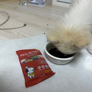 이지연님이 올린 리뷰 사진 2