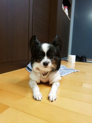 지뚜언니님이 올린 리뷰 사진 4