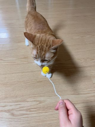 규링님이 올린 리뷰 사진 3