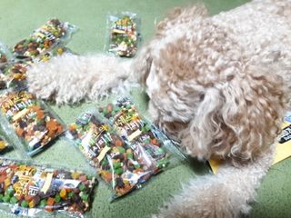 란아님이 올린 리뷰 사진 2