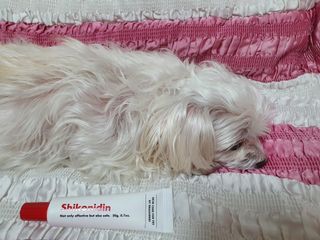 [자유펫] 시코니딘 고양이 강아지 피부 보습 연고 20g — 5점을 준 리뷰어가 2021년 11월 올린 사용 사진