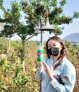 몽베스트 Montbest with Sparkling water Lemon OR Lime 20병(랜덤) — 5점을 준 리뷰어가 2021년 11월 올린 사용 사진