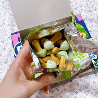 2024 오리온 여름한정판 초코파이 수박 / 후레쉬베리 멜론 / 멜론송이 — 5점을 준 리뷰어가 2024년 8월 올린 사용 사진