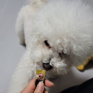맨날배고파님이 올린 리뷰 사진 4