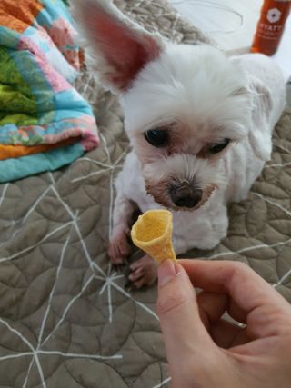 쮸동비님이 올린 리뷰 사진 2