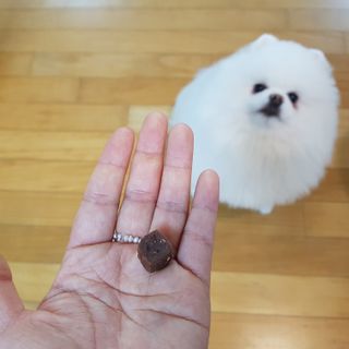 비니씨님이 올린 리뷰 사진 1