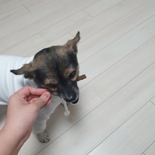 항항항님이 올린 리뷰 사진 4