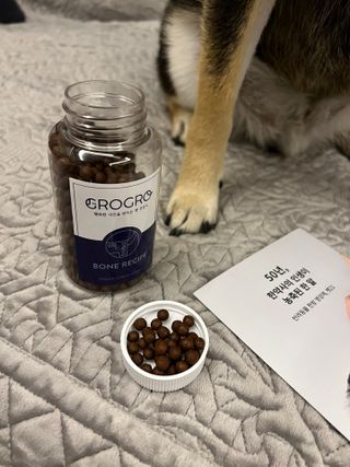 펫21 그로그로 5종 강아지 고양이 반려동물 한방 영양제 — 5점을 준 리뷰어가 2021년 11월 올린 사용 사진