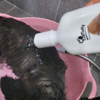 복도리님이 올린 리뷰 사진 3