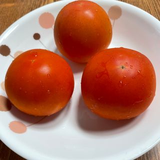 레드닥터 완숙토마토 + 통째로 동결건조한 대추방울토마토 — 5점을 준 리뷰어가 2022년 12월 올린 사용 사진