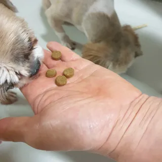 보리엄마님이 올린 리뷰 사진 4