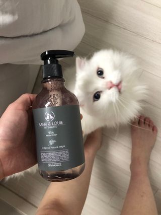 마리앤루이펫샴푸 [mari and louie pet shampoo] — 5점을 준 리뷰어가 2021년 5월 올린 사용 사진