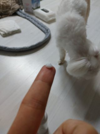 쮸동비님이 올린 리뷰 사진 3