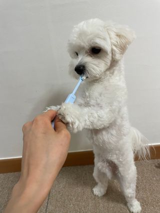 냥냥이님이 올린 리뷰 사진 3