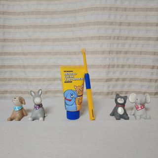 Pethroom 페스룸 PETHROOM DENTAL CARE SET 페스룸 덴탈 케어 세트 / 덴탈 클린 칫솔 + 덴탈 클린 치약 — 5점을 준 리뷰어가 2021년 1월 올린 사용 사진
