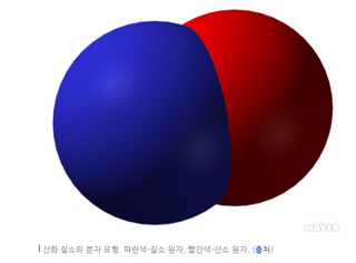 프리마인 유해균 뿐만 아니라 유익균까지 씻어내는 치약은 그만, 건강한 구강환경을 만드는 덴탈엔오 — 4.5점을 준 리뷰어가 2022년 11월 올린 사용 사진