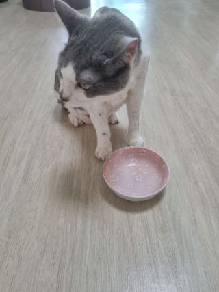 홍지연님이 올린 리뷰 사진 3