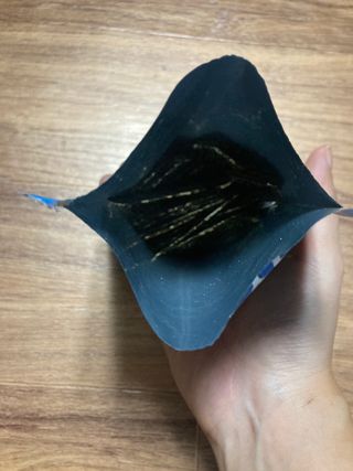 민트초코님이 올린 리뷰 사진 4