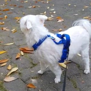 ssun님이 올린 리뷰 사진 2