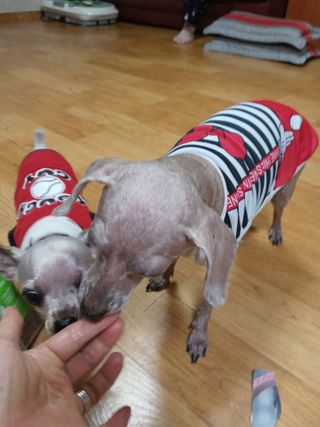 쪼꼬사랑이언니님이 올린 리뷰 사진 4