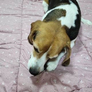 서희님이 올린 리뷰 사진 4