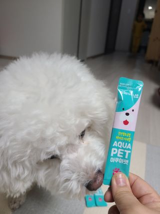 펫시랩 반려견용 액상 프리바이오틱스 아쿠아펫 — 5점을 준 리뷰어가 2021년 1월 올린 사용 사진
