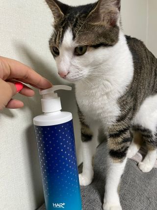 주희렐라님이 올린 리뷰 사진 3