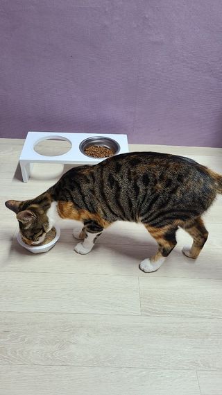 헤이미쉬님이 올린 리뷰 사진 1
