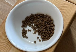 양쏭님이 올린 리뷰 사진 4