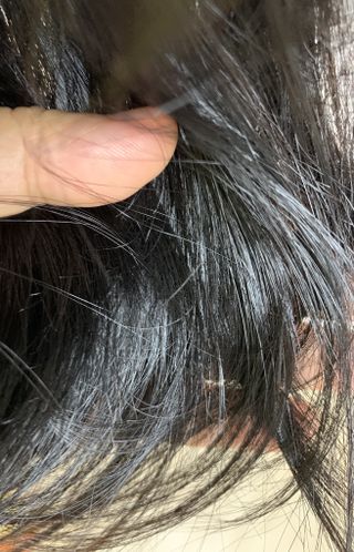 봄히님이 올린 리뷰 사진 2